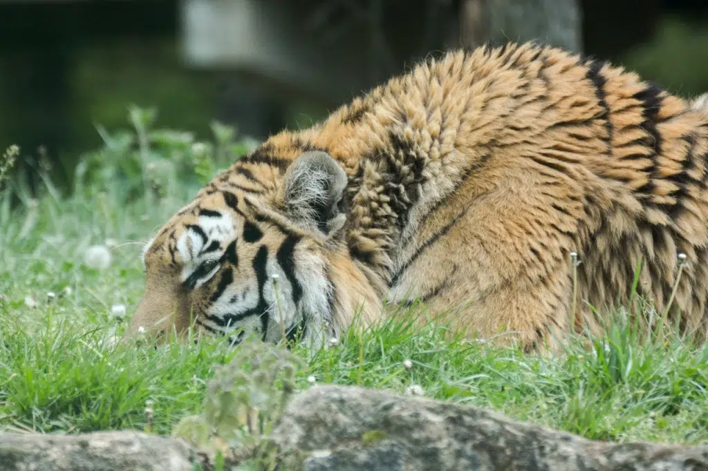 AdobeStock 186655858