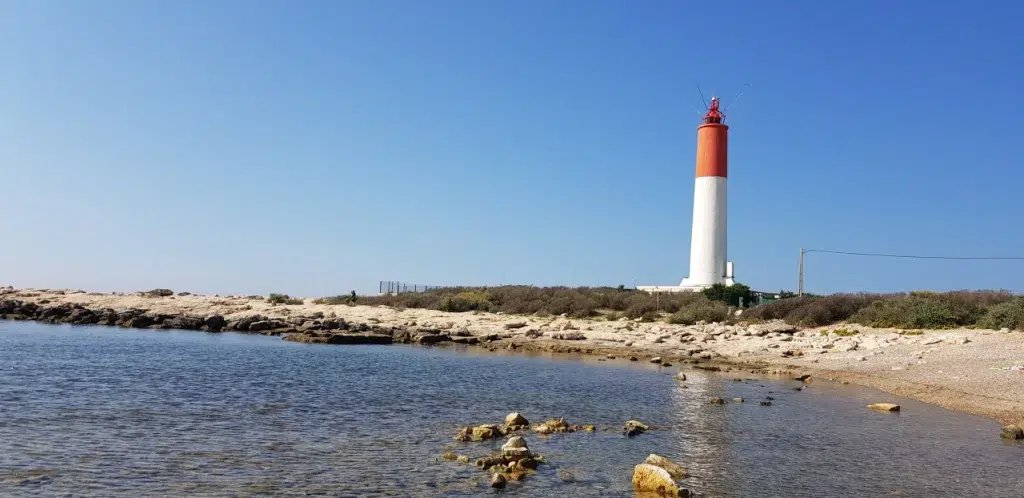 AdobeStock 225855709