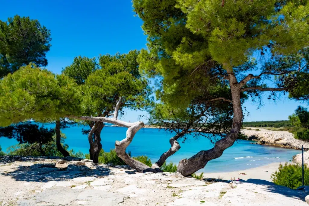 AdobeStock 272171741